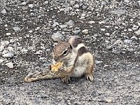 IMG 5570