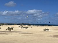 IMG 5730
