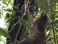 20.01.2026 - Puerto Limon