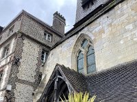 IMG 8958