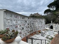 IMG 6948