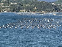 IMG 7157