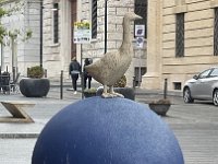 IMG 7301