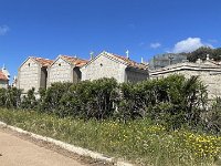 IMG 7489