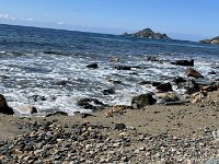 IMG 7536