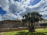 IMG 7631