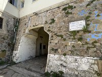 IMG 7684