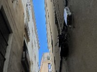 IMG 8093