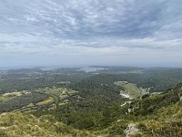 IMG 8479