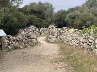 IMG 8559