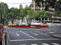 DSC 2448