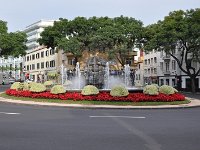 DSC 2453