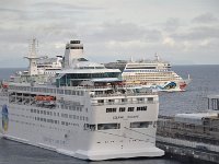 DSC 2572