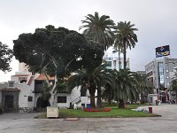 DSC 2786