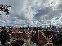 IMG 6710
