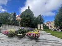 IMG 6772