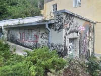 IMG 6811