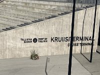 IMG 6878
