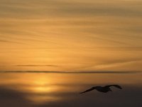 IMG 7053