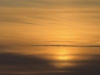 IMG 7055