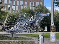 IMG 6934