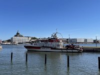 IMG 6975 (1)