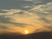 IMG 7077