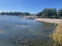 IMG 7110