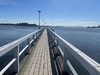 IMG 7111