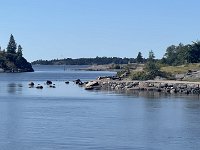 IMG 7120