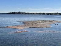 IMG 7125