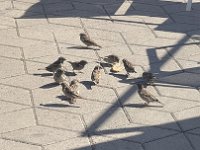 IMG 7138
