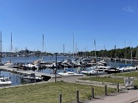 IMG 7154