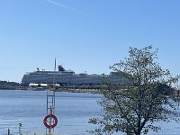 IMG 7159