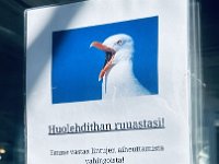 IMG 8880