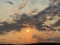 IMG 7083