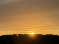IMG 7123 (1)