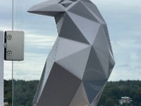 IMG 7304