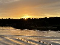 IMG 7323