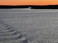 IMG 7379