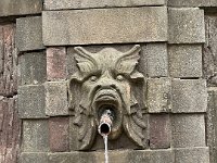 IMG 7992
