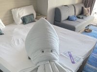 IMG 7416