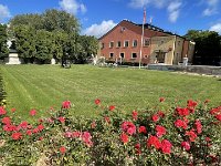 IMG 7431