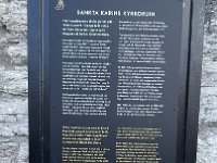 IMG 7480