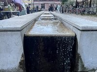 IMG 7482