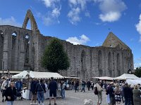 IMG 7487