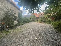 IMG 7495