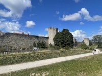 IMG 7607