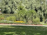 IMG 7656