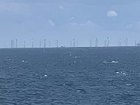 IMG 7807